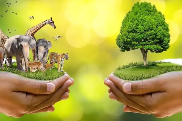 National Diploma Nature Conservation NQF Level 3